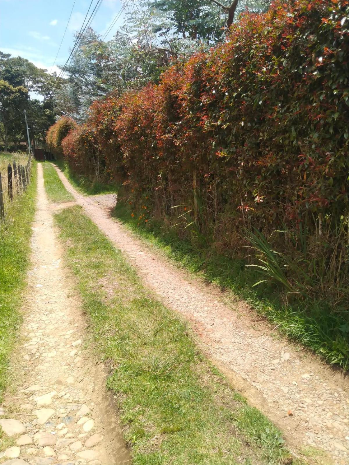Galilea Santa Elena (Antioquia)