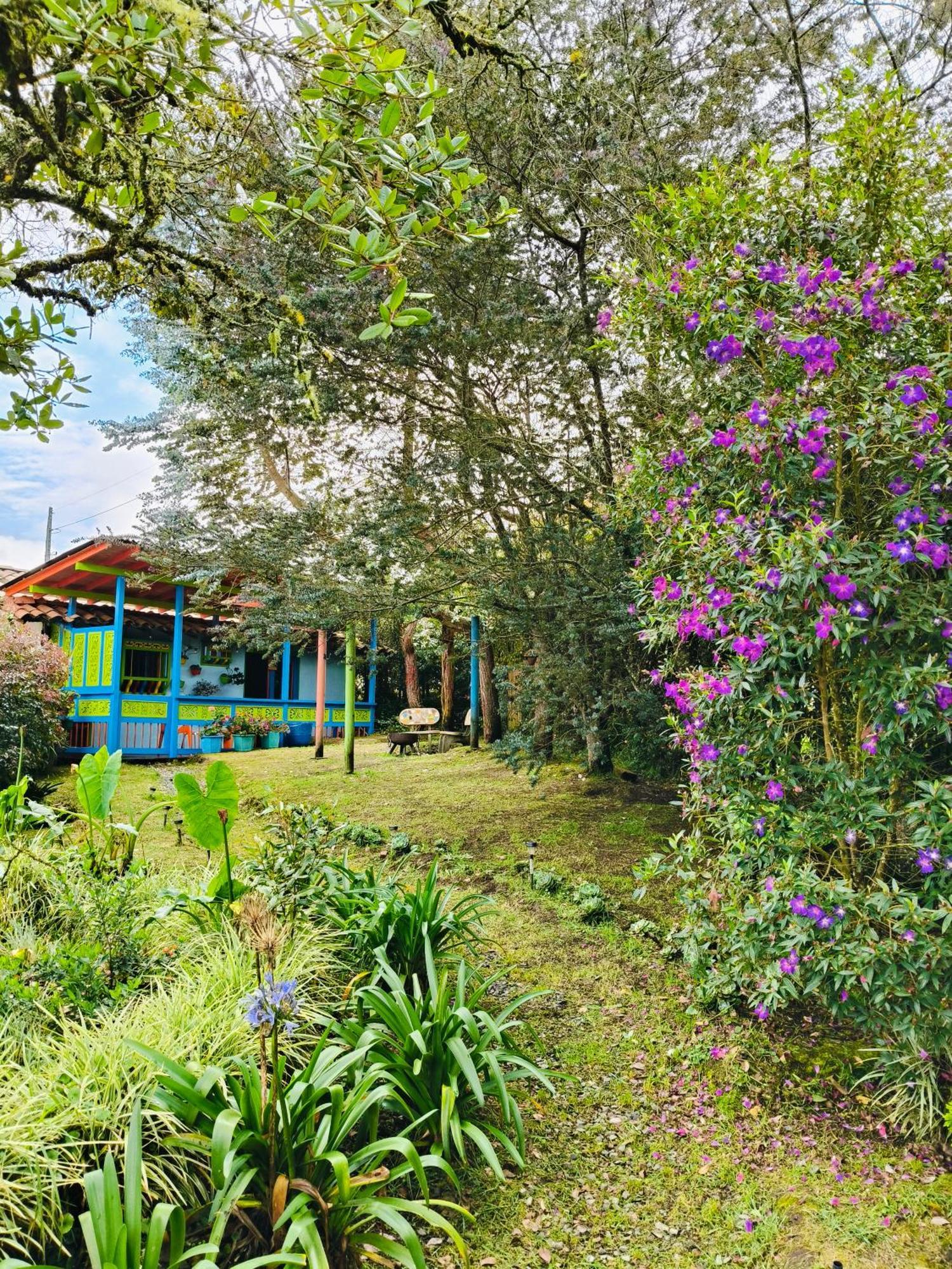 Holiday home Galilea *